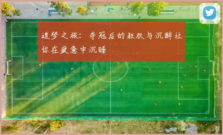 追梦之旅：夺冠后的狂欢与沉醉让你在疲惫中沉睡